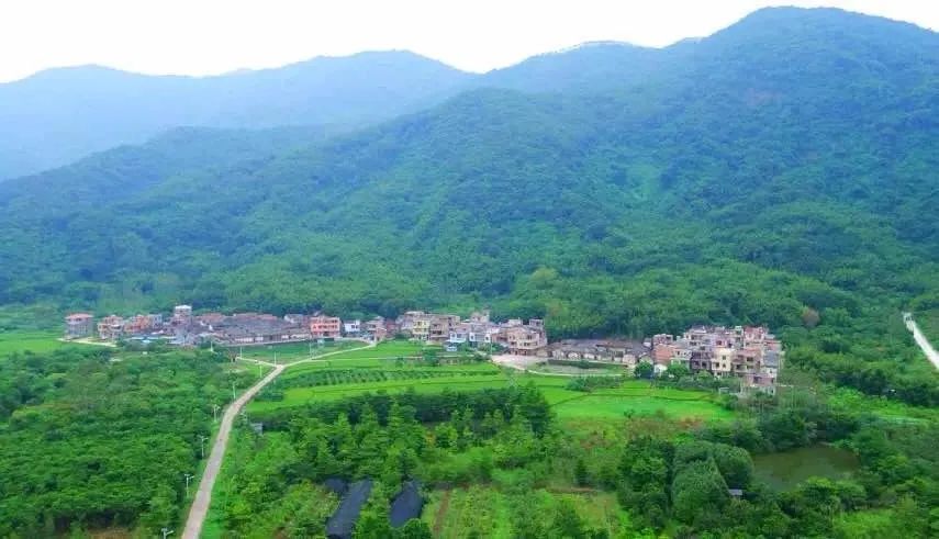 village paitan town zengcheng district 佳松岭村派潭镇