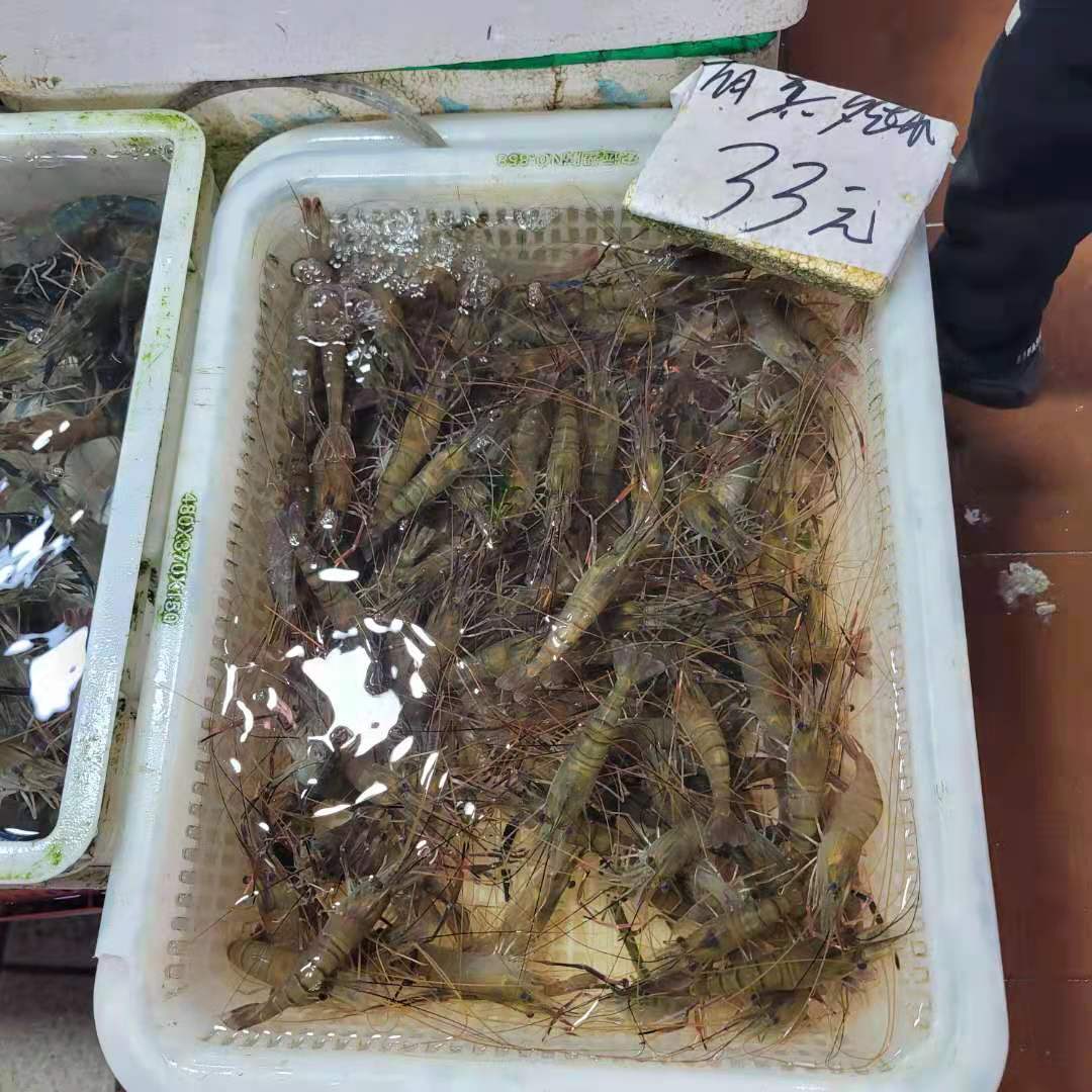 临近春节,广州市场活虾涨价了