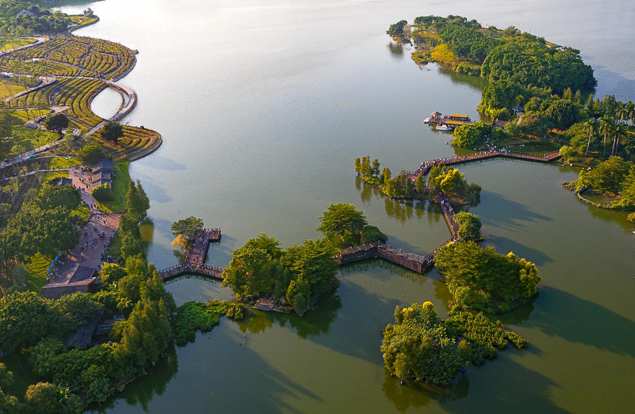 溪水引候鸟,湿地鲜花艳……广州最美河湖有段古