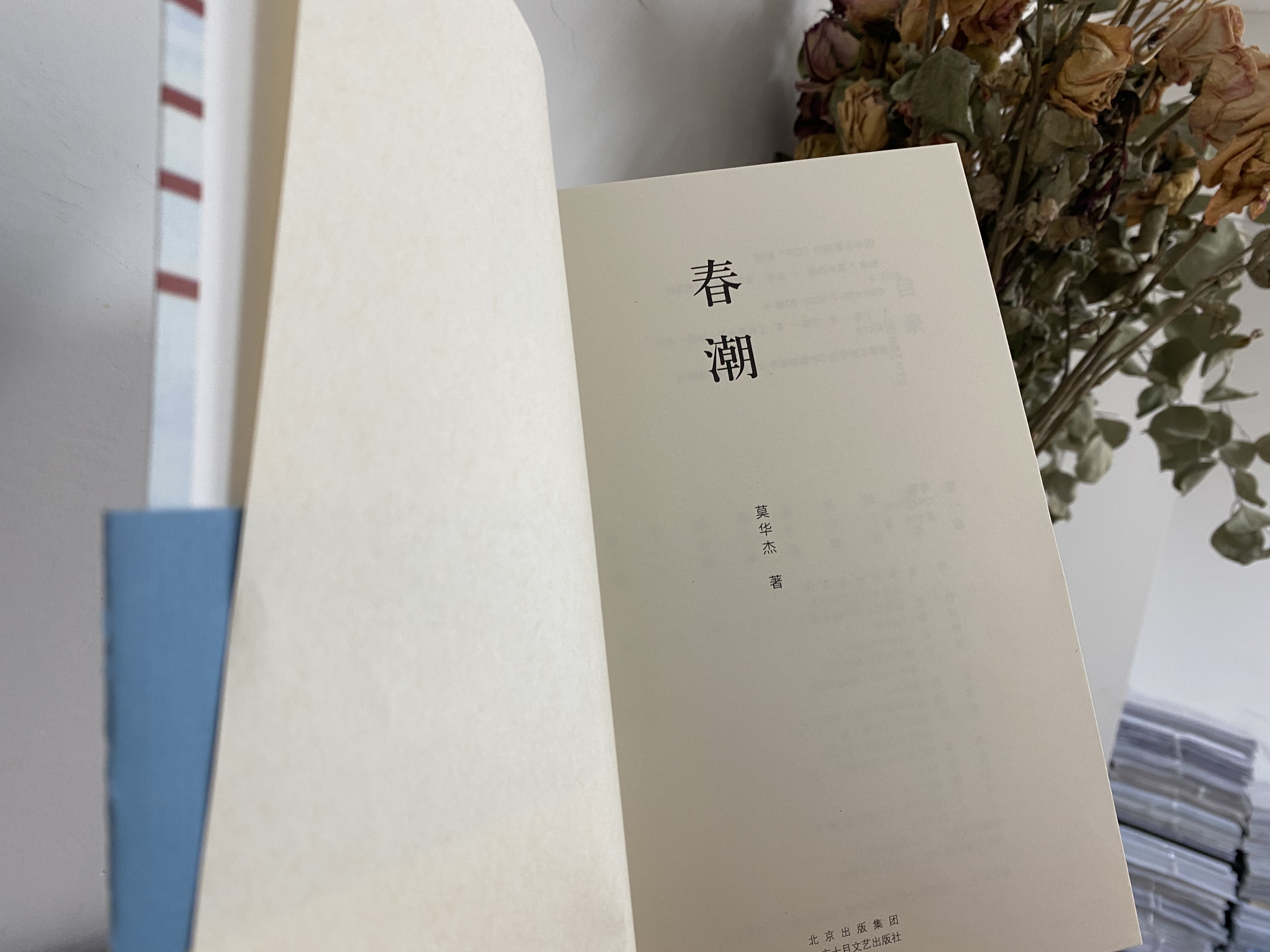 本土作家莫华杰长篇小说《春潮|南方版《平凡的世界》