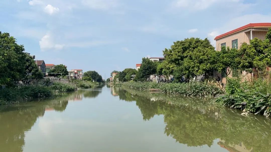 大岗风物|江天一色"母亲河",大岗这里有美景