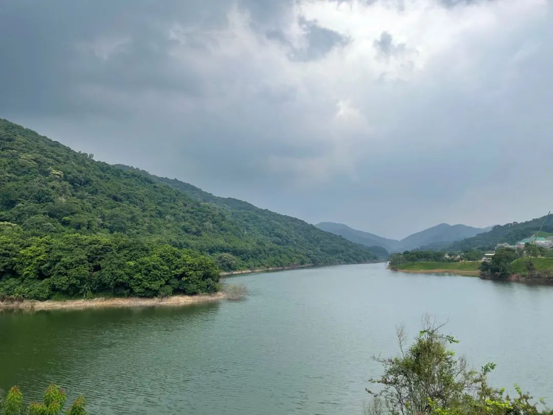 周围山林茂密,空气清新 酒店紧邻水声水库 从房间内推窗