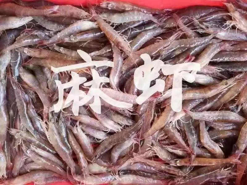 1572531799313091789.png image.png