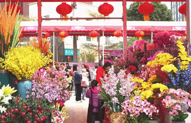 番禺花市今天开锣!全市时间最长花市大有看头↓
