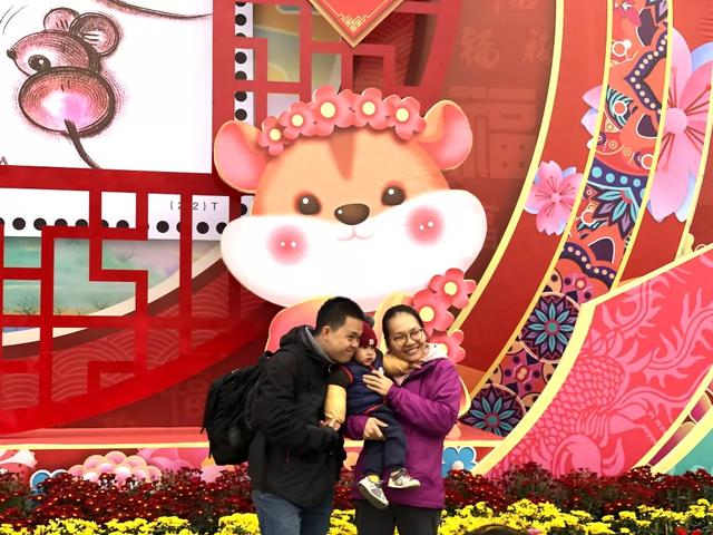 番禺花市今天开锣!全市时间最长花市大有看头↓