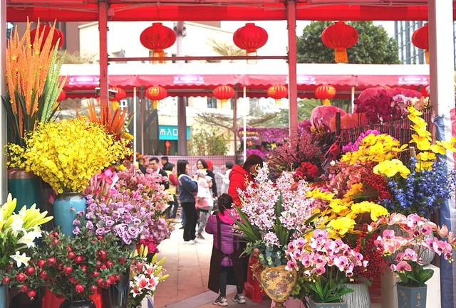 番禺花市今天开锣!全市时间最长花市大有看头↓
