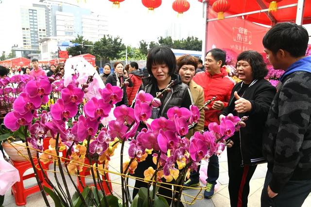 番禺花市今天开锣!全市时间最长花市大有看头↓