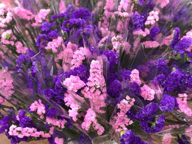 番禺花市今天开锣!全市时间最长花市大有看头↓