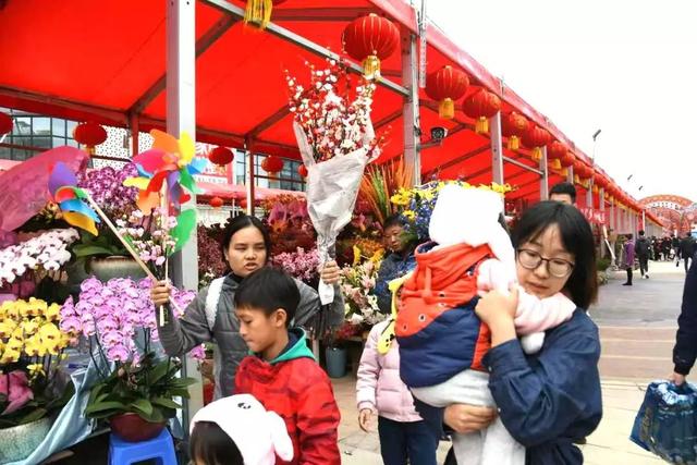 番禺花市今天开锣!全市时间最长花市大有看头↓