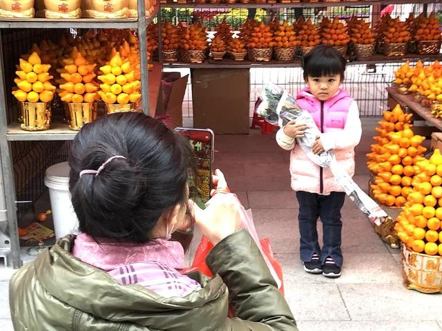 番禺花市今天开锣!全市时间最长花市大有看头↓