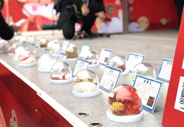 番禺花市今天开锣!全市时间最长花市大有看头↓