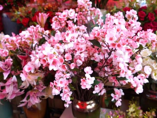 番禺花市今天开锣!全市时间最长花市大有看头↓