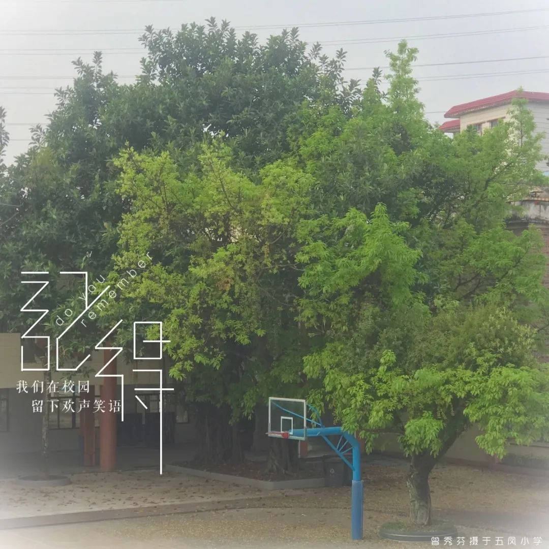 海珠区五凤小学(摄影:曾秀芬).jpg