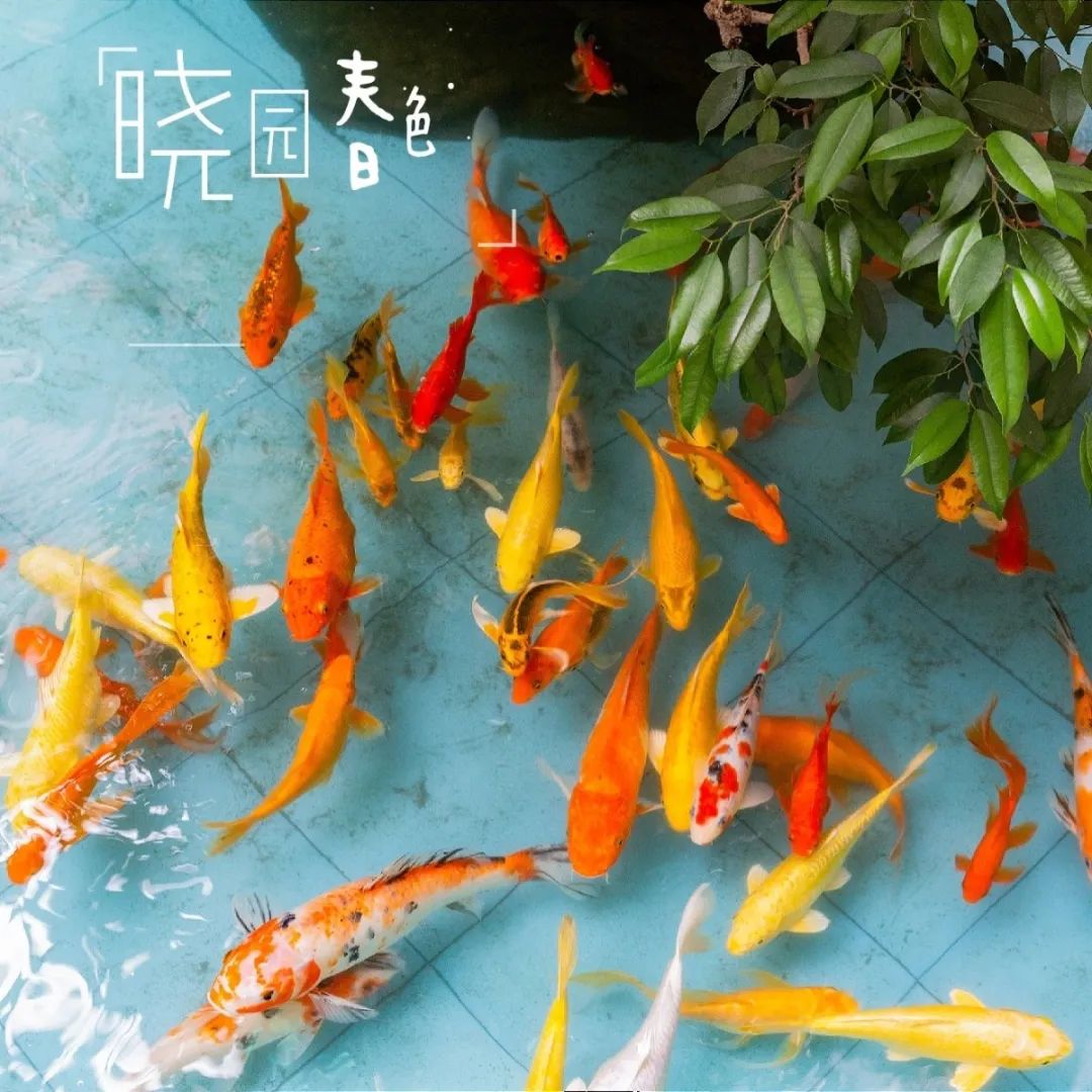 海珠区晓园小学 (摄影:汤庆华).jpg