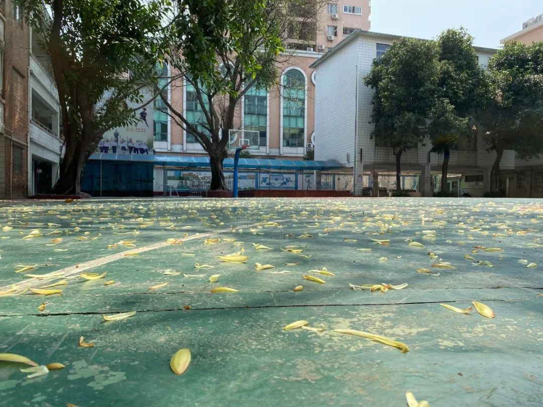 海珠区大元帅府小学 (摄影:谢少冰).jpg