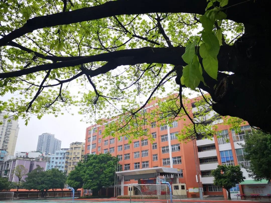 广州市绿翠现代实验学校(摄影:胡一鹏).jpg