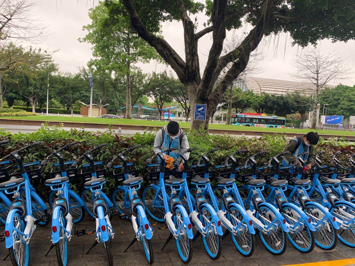 热衷绿色出行！乐清人日均骑行公共自行车2万次-新闻中心-温州网