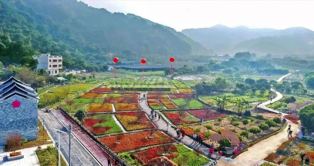 jiner village, jiangpu jie, conghua district 江埔街锦二村