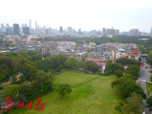 白云山南门外草坪2