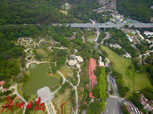 白云山云台花园及复绿后的南门外草坪2