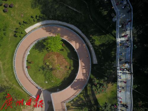 花果山的空中云道3