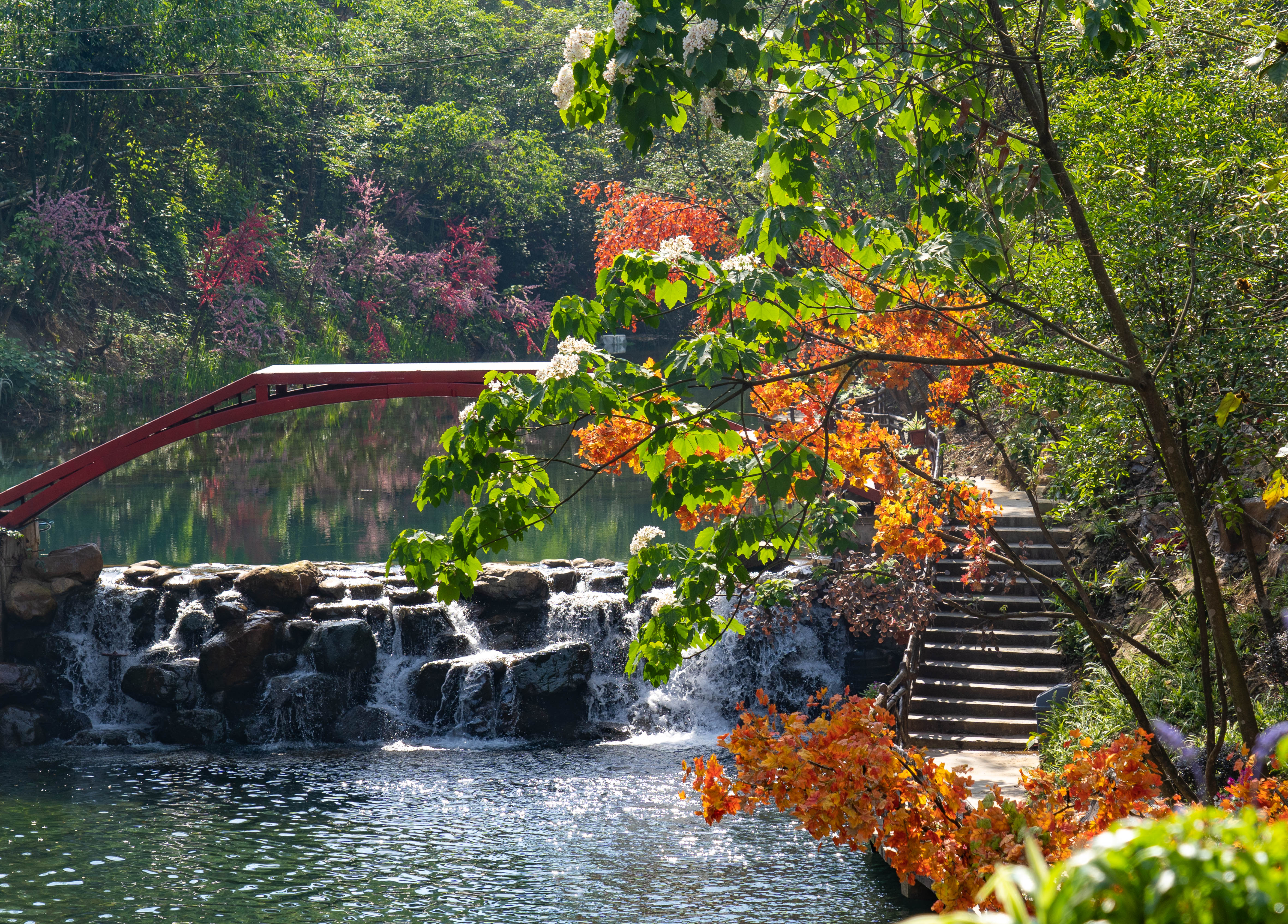 24aa6893-381e-40af-b850-ccedf2a160c1