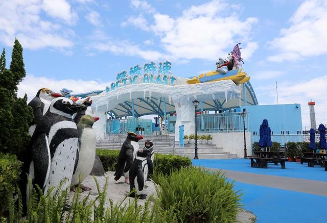 5月8日拍摄的香港海洋公园。新华社记者 吴晓初摄