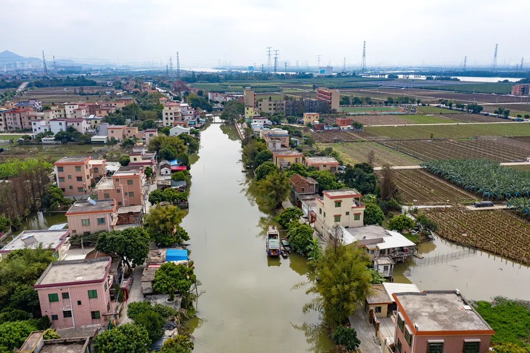 新沙村河涌两岸