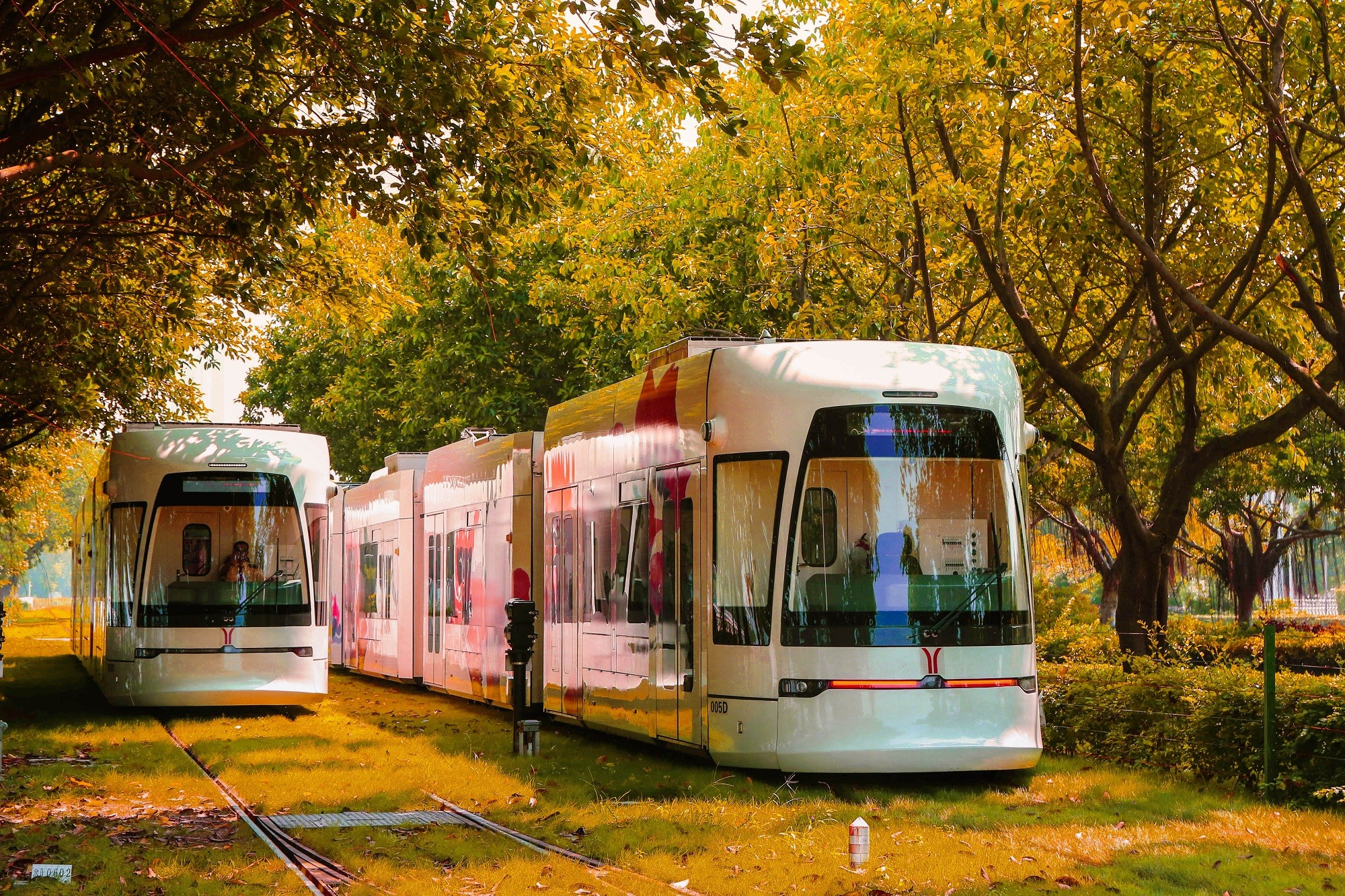 1589968596761001043.jpg 压缩13.jpg