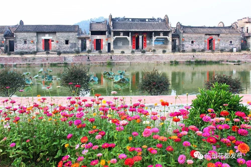 【关注】花东镇港头岭南特色美丽乡村精品示范村项目开工啦