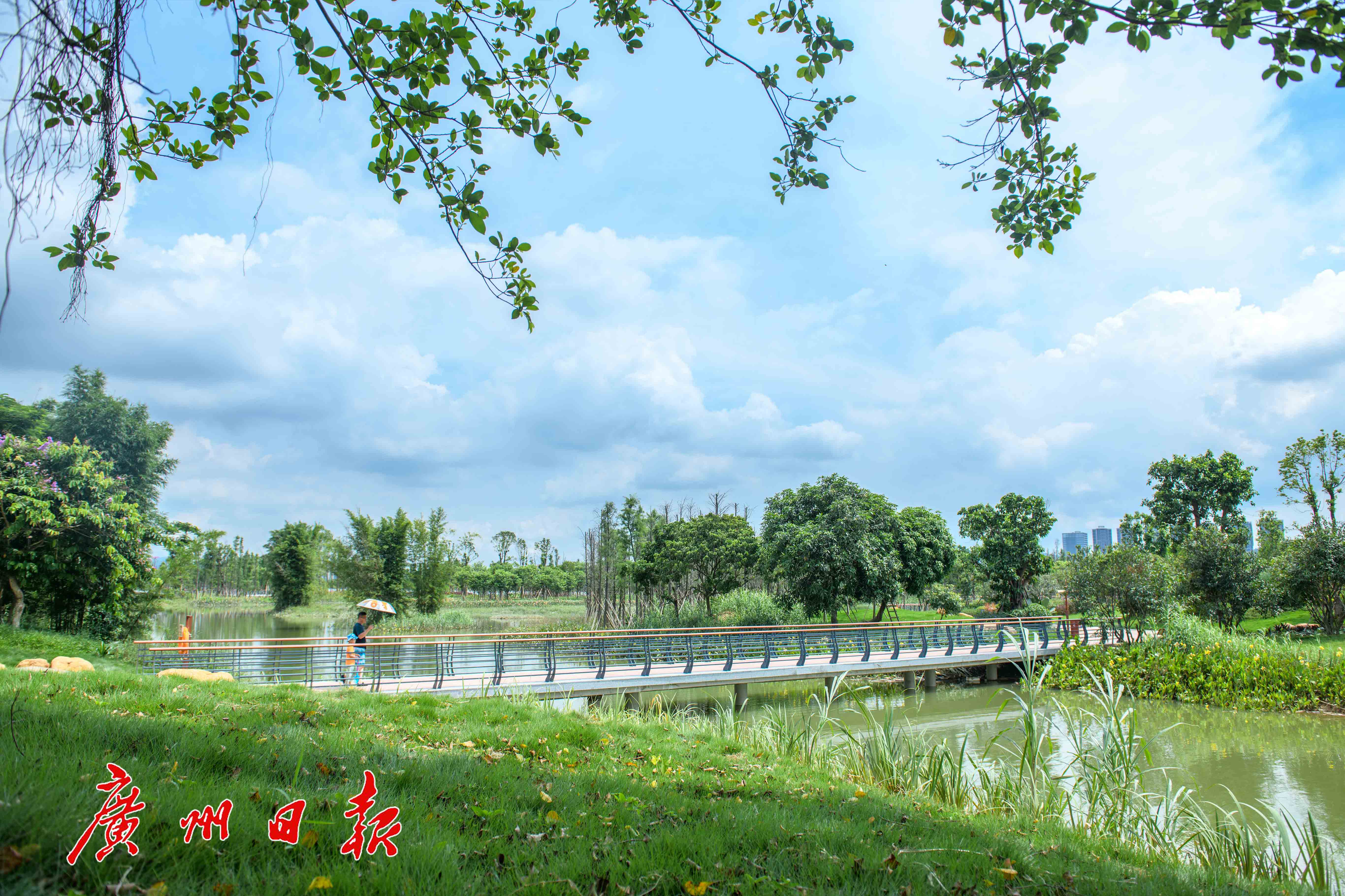 增城荔湖湿地公园图片图片
