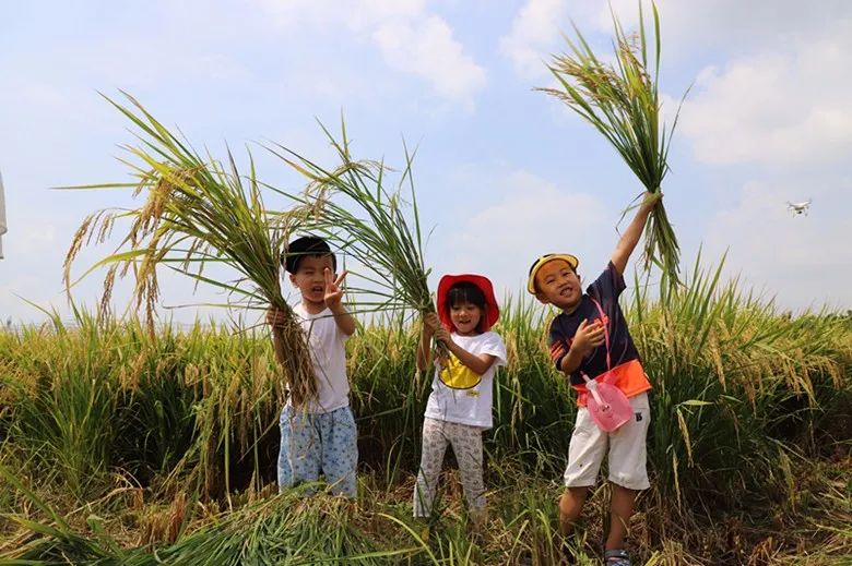 马克村来了一群"小农民"!