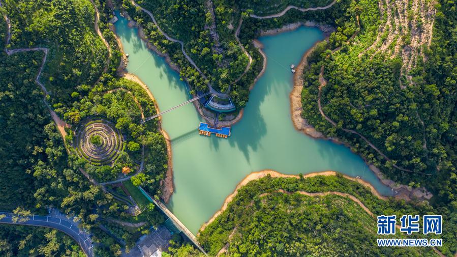 澳門黑沙水庫郊野公園(6月15日攝,無人機照片)。 新華社記者 張金加 攝