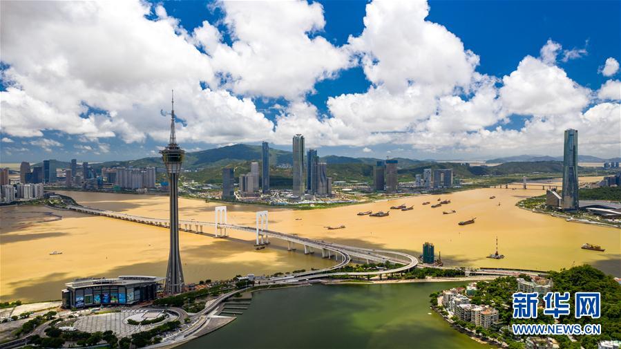 澳門旅遊塔和珠海灣仔、橫琴一帶的景色(6月18日攝,無人機照片)。新華社記者 張金加 攝