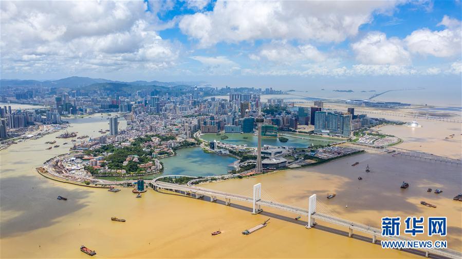 澳門半島景色(6月15日攝,無人機照片)。 新華社記者 張金加 攝