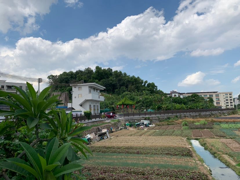 南村镇扎实开展公益宣讲,要求"每村必须确保约课一次".