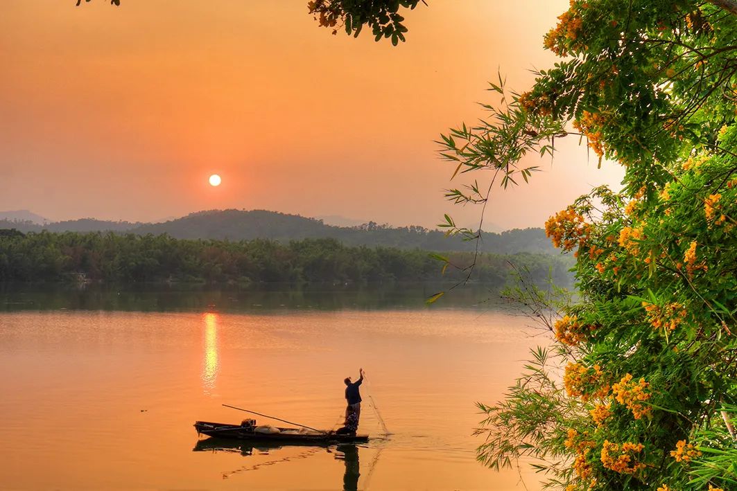 夕阳薰细草,江色映疏帘~最近增城的夕阳太美了!