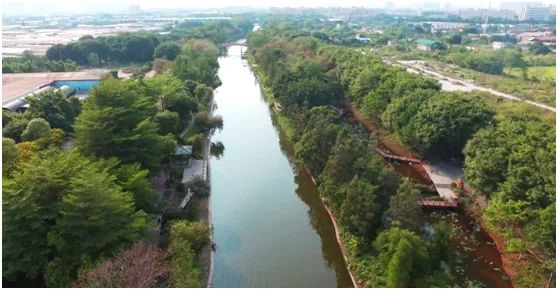 最近荔湾正忙着做这件事