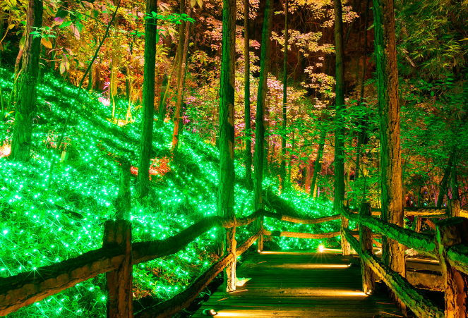 佛冈"森境光影"夜游项目在佛冈森波拉度假森林启动