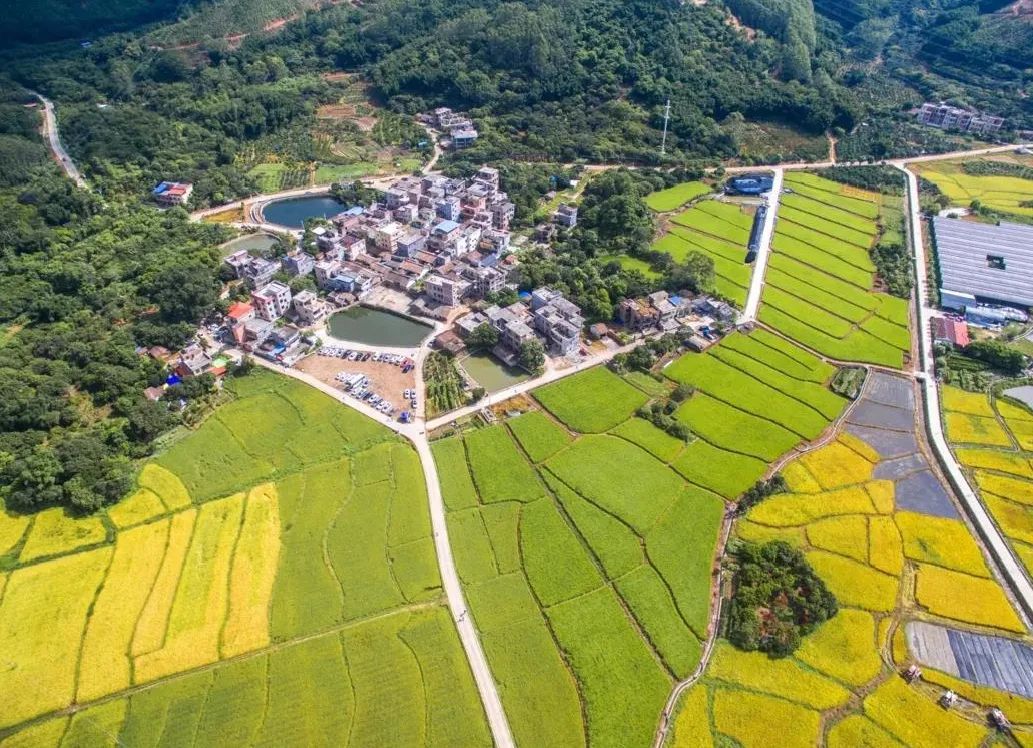 增城三星村