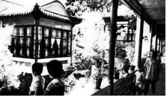 1598524266805099056.jpg 640.webp (7).jpg