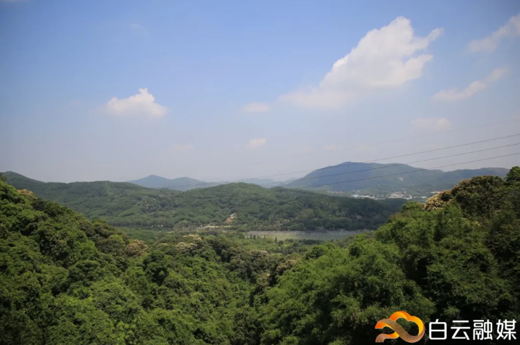 QQ图片20201003181001