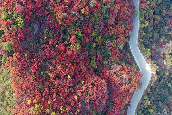 1602125311874092982.jpg 微信图片_20201008104435.jpg