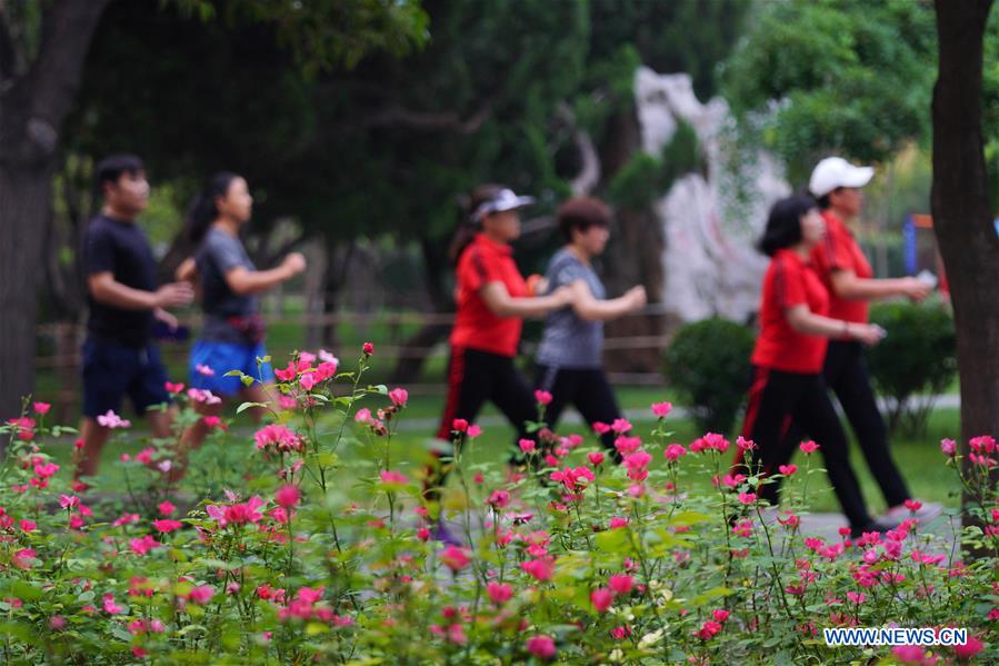 1602148248722064627.jpg 微信图片_20201008170946.jpg