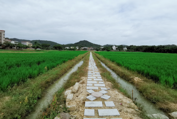 黄埔 美丽乡村迳下村:干群同心奋斗,昔日山村蜕变田园水乡