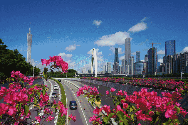 微信图片_20201026153859