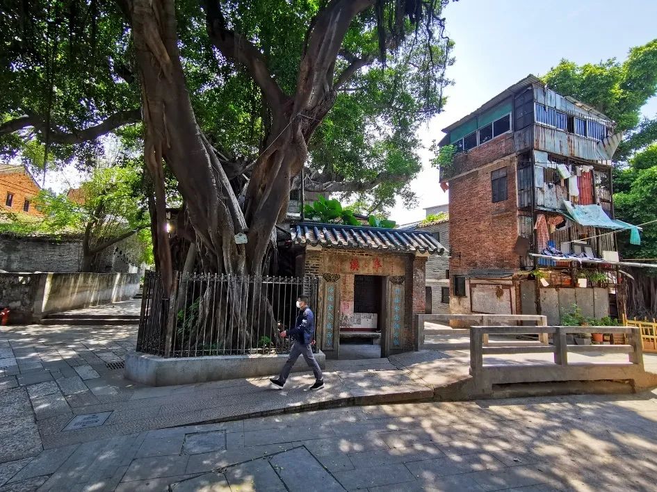 "绣花"功夫出新出彩,泮塘古村华丽变身