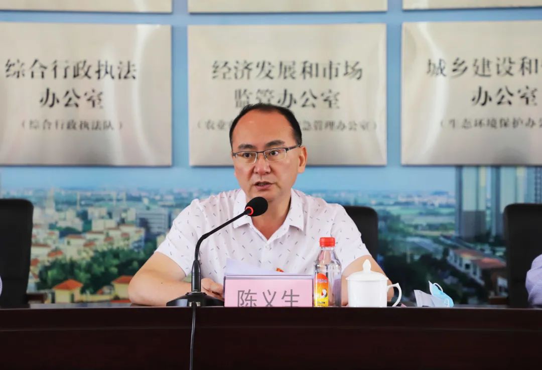 榄核镇党委书记陈义生发言