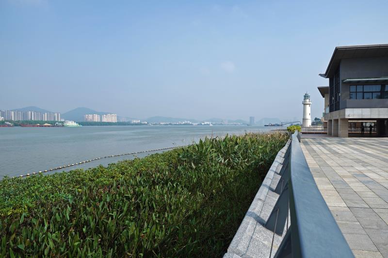 南沙|"绿翡翠项链"初绽灵山岛尖