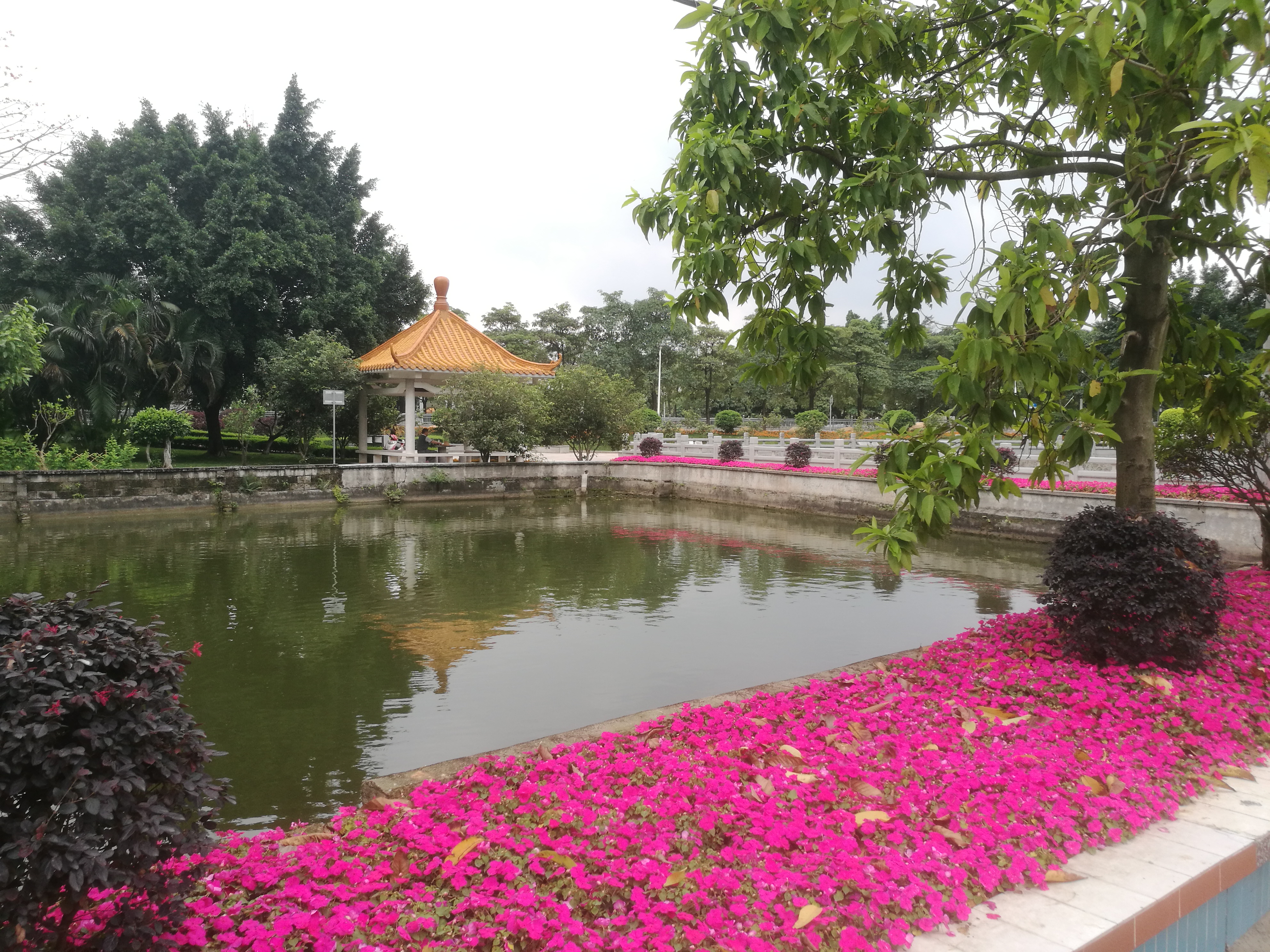 图片5大田村庙口塘